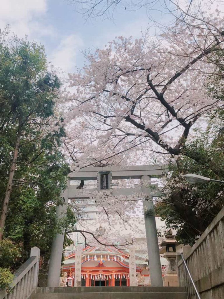 玉造稲荷神社の桜